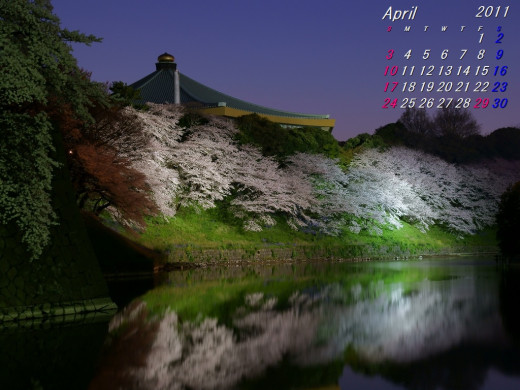 404695 (a): :1024x768